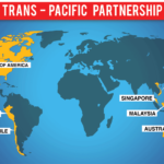 Hiệp định TPP, “con nuôi” được đối xử tốt hơn “con đẻ”?