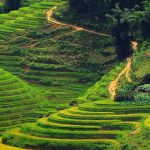 Báo Thái Lan: Bùng nổ du lịch lên Fansipan, nếu không có sự phát triển bền vững, Sapa sẽ “tự bắn vào chân mình”