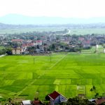 5 điều cần biết nếu muốn kinh doanh thành công ở nông thôn