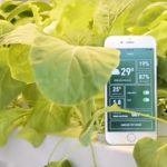 Một sinh viên Bách Khoa sẽ giúp người Việt trồng rau sạch dễ dàng mà không cần đất hay mặt trời, chỉ cần 1 chiếc smartphone