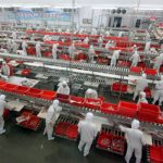Những nhà máy thực phẩm khổng lồ của Trung Quốc