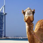 Dubai sẽ có chính phủ vận hành bằng blockchain đầu tiên trên thế giới?