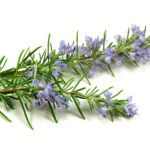 5 thảo mộc “đánh bay” mùi cơ thể